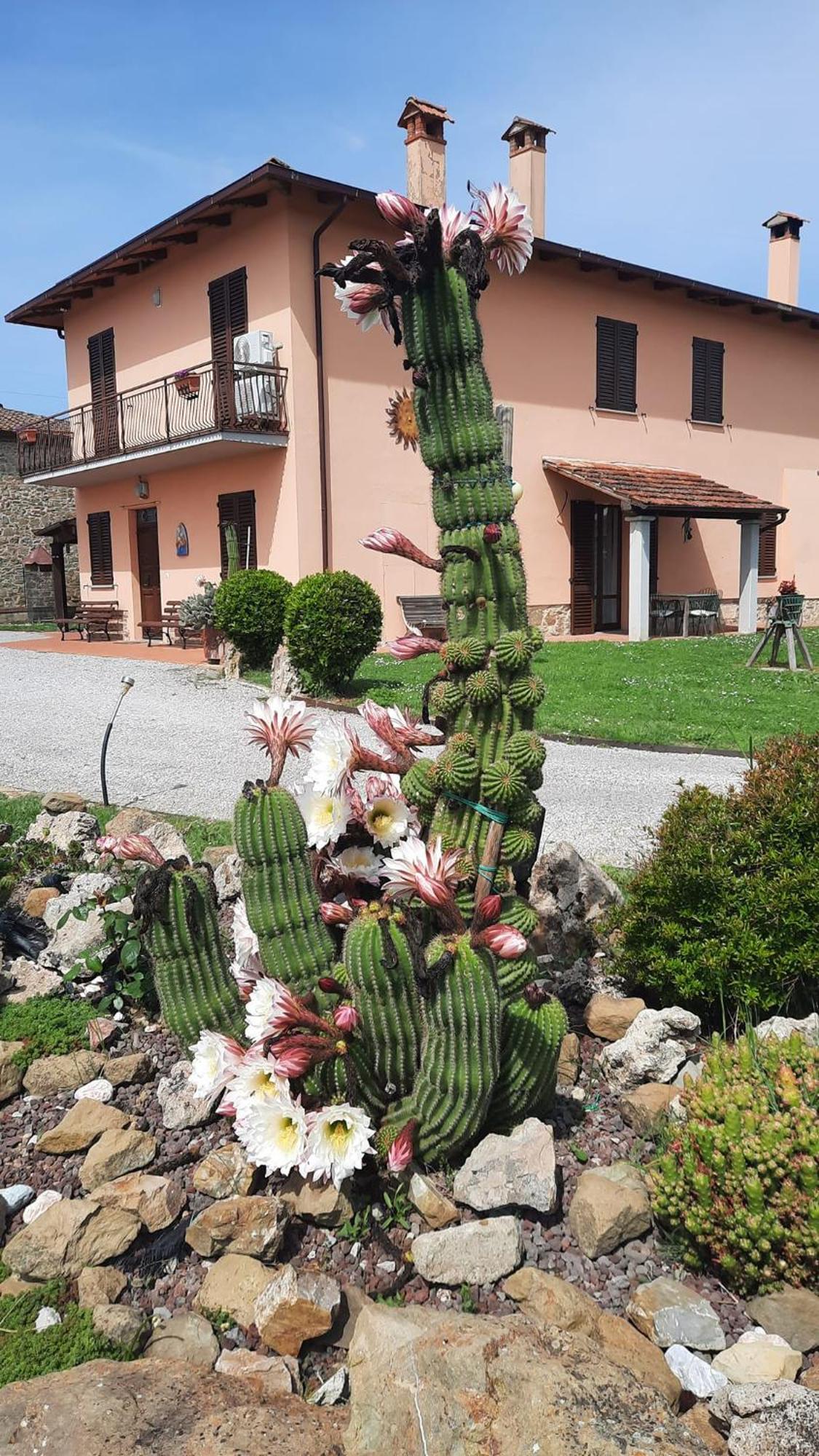 Il Casale Di Lucullo Βίλα Lucignano Εξωτερικό φωτογραφία